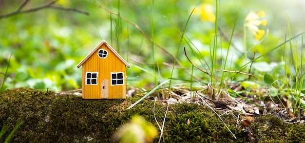 Miniaturhausmodell auf Grashintergrund