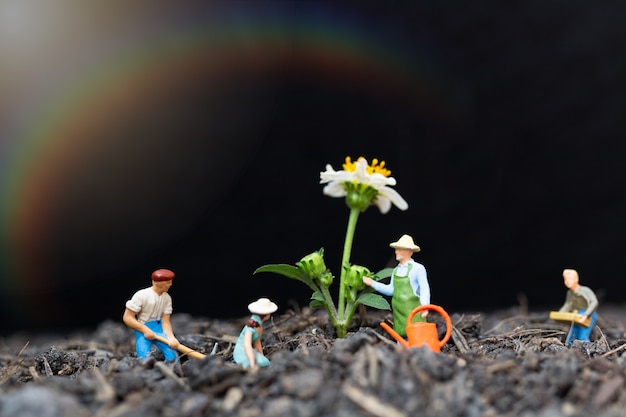 Miniaturmenschen, Gärtner kümmern sich darum, Pflanzen auf dem Feld anzubauen