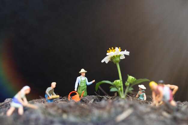 Foto miniaturmenschen gärtner kümmern sich um pflanzen, die auf dem feld wachsen