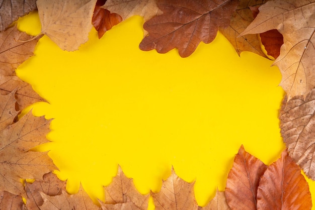 Minimal spärlicher Herbst-Hintergrund mit Herbstblättern