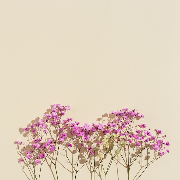 Minimales natürliches Layout mit kleinen rosa Blüten auf beigefarbenem Hintergrund
