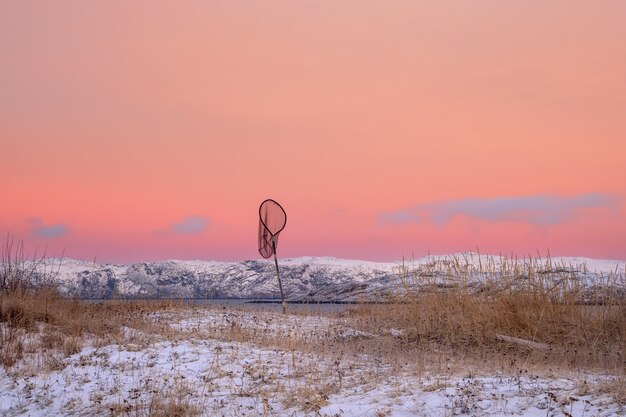 Minimalistische arktische Winterlandschaft mit einem Netz am Ufer, bedeckt mit spärlicher Vegetation und einem hellrosa Himmel.