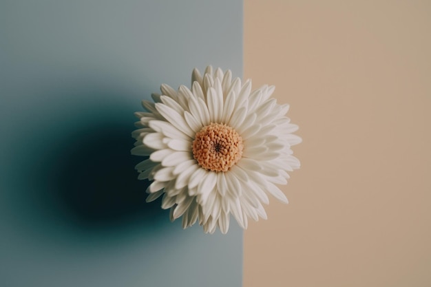 Minimalistische Blumen-Hintergrund-Illustration AI generativ