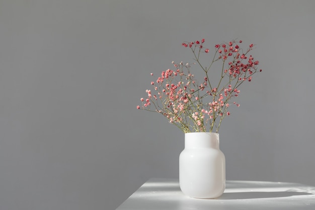 Minimalistische Komposition aus getrockneten rosa Blüten in zylindrischer Glasvase unter Sonnenstrahlen auf weißem Hintergrund