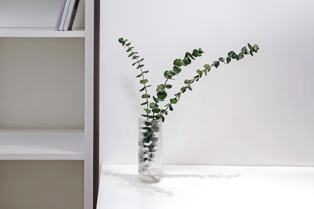 Minimalistische moderne Innenraumdetails Raum in weißen Farben Eukalyptuszweig im Glas