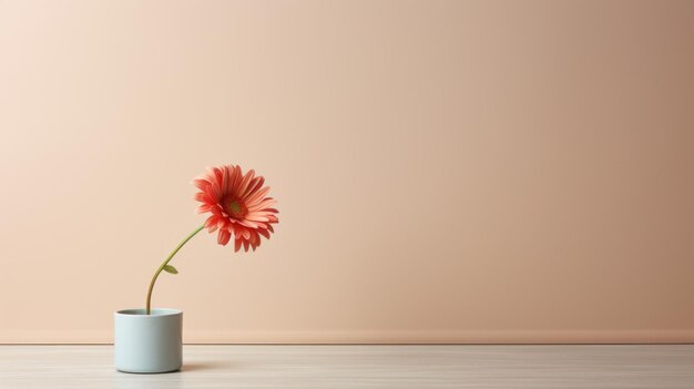 Minimalistische rote Gerbera-Blüte in Vase auf rosa Hintergrund