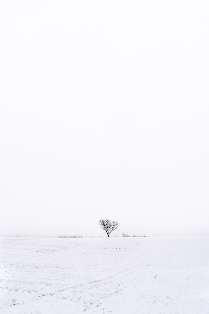 Minimalistische Schneelandschaft. Madrid. Spanien.