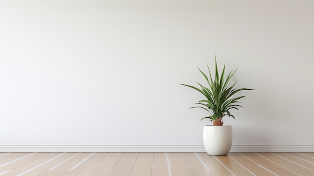 Minimalistische weiße Wand mit großer Topfpflanze Zen-Minimalismus