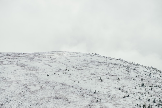 Minimalistische Winterlandschaft mit großer schneebedeckter Bergspitze mit Nadelbäumen unter bewölktem Himmel. Minimaler Bergblick auf den weißen Schneehügel bei bewölktem Wetter. Verschneite Landschaft mit weißem Berghang.