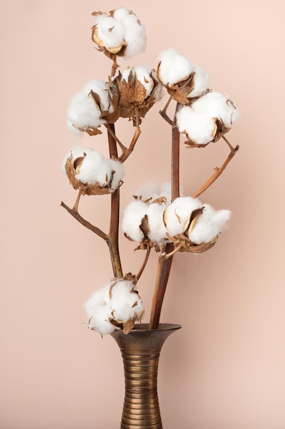 Minimalistischer Blumenstrauß aus Baumwolle in einer Vase auf zartrosa Hintergrund