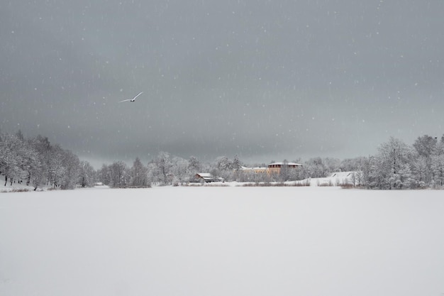 Minimalistischer Winterhintergrund mit einem Dorf am Ufer einer Schneedecke am See. Viel Schnee Winterlandschaft Landschaft.