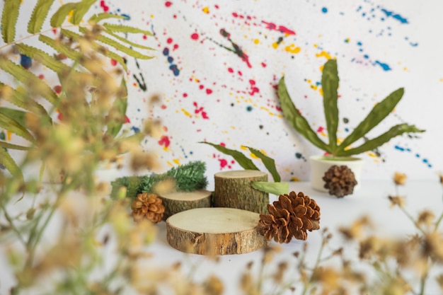 Minimalistisches Konzept, das Produkte anzeigt. rundes Holz auf abstraktem Hintergrund. Blume. getrocknete Blätter