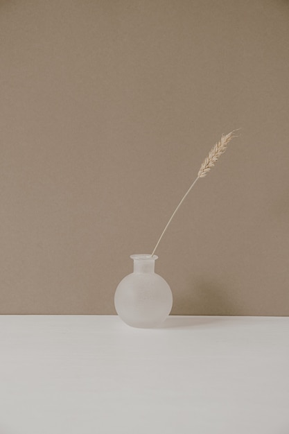 Minimalistisches modernes Innendekorationsdesign im Hygge-Stil. Roggenweizenohrstiel in weißer Vase auf Pastellbeige.