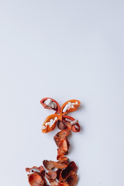 Minimalistisches und kreatives Konzept für das Gesundheitswesen mit Kopierraum Medikamente in orangefarbenen Trockenblumen