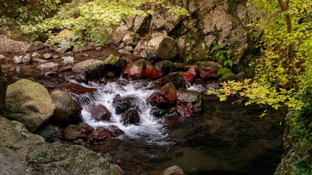 Minoh Park Wasserfall. Osaka, Japan