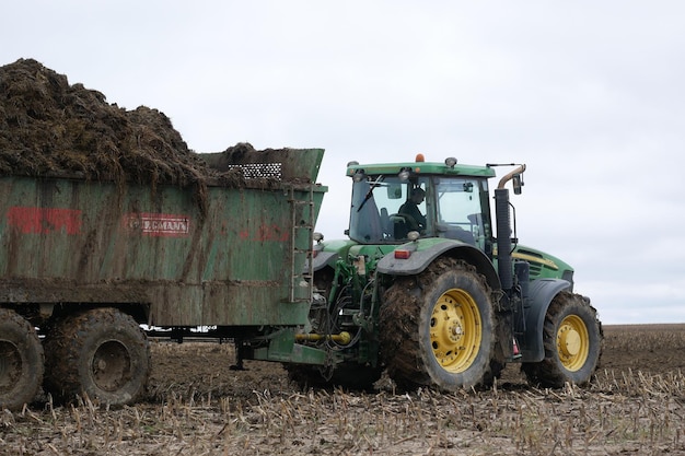 MINSK BIELORRUSIA NOVIEMBRE 2019 tractor esparce fertilizante orgánico en el campo en un día nublado