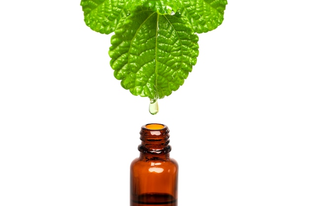 Mint Herbal Natural Medicine Oil Tropfen fallen von einem Blatt auf die Flasche mit Kopierraum