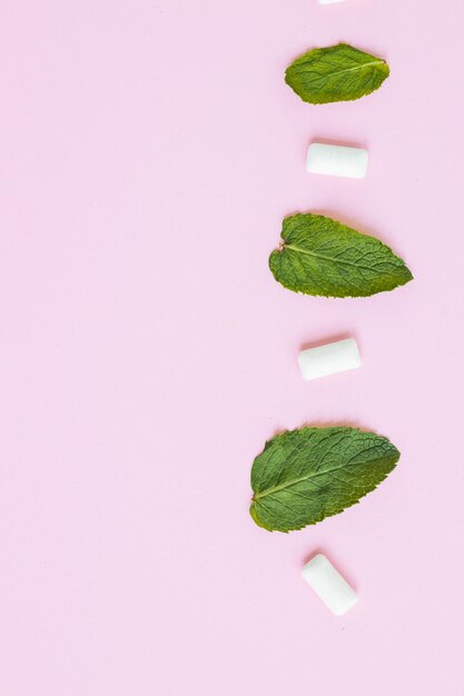 Mintgrün mit Blättern und Kaugummi auf rosa Hintergrund