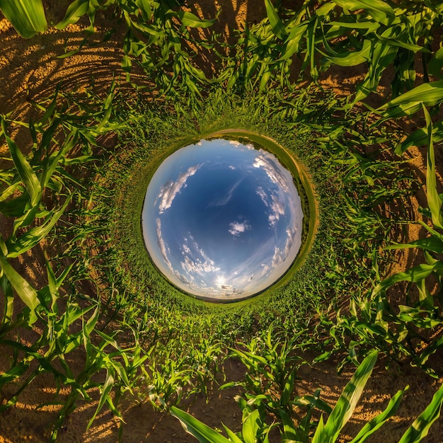 Foto minúsculo planeta verde no céu azul da noite com belas nuvens transformação de panorama esférico 360 graus visão aérea abstrata esférica curvatura do espaço