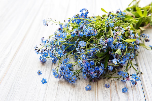 Miosótis flores em madeira branca