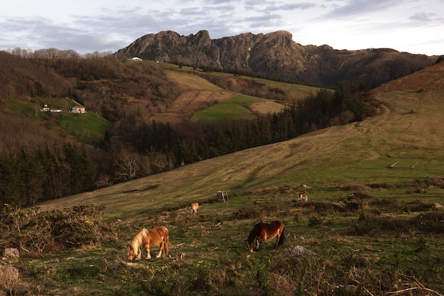 Mira Aiako Harriak tres picos en el País Vasco.