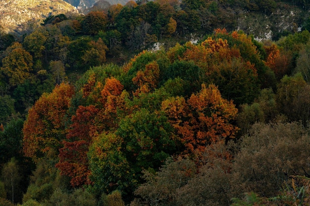 Mirador de Seguencu en Cangas de Onis - Astúrias