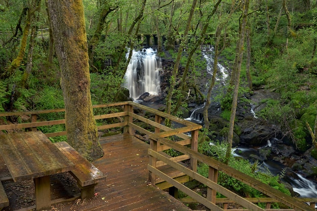 Foto mirador de madera sobre el río arenteiro, en la región de galicia, españa.