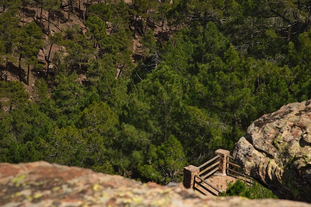 Mirador de piedra sobre el bosque