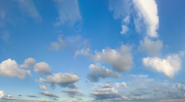 Mirando hacia el cielo azul y el fondo de nubes blancas