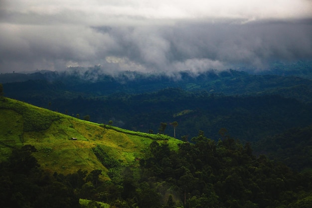 Foto mirar profundamente en la naturaleza