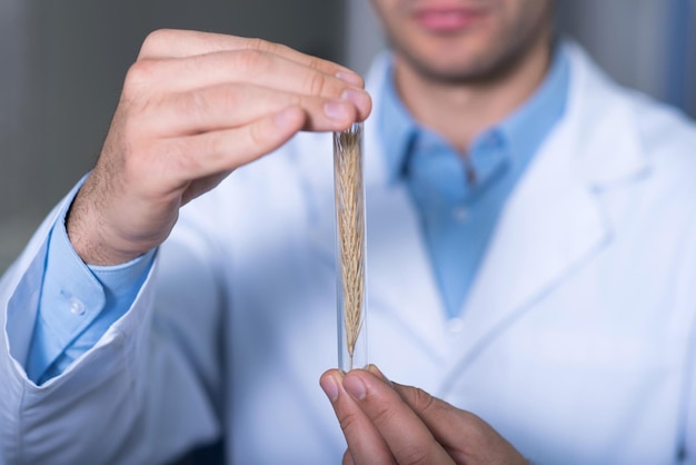 Mire a este joven médico responsable calificado con una bata de laboratorio parado en la habitación manteniendo el tubo de ensayo con la espiga de centeno y mostrándolo