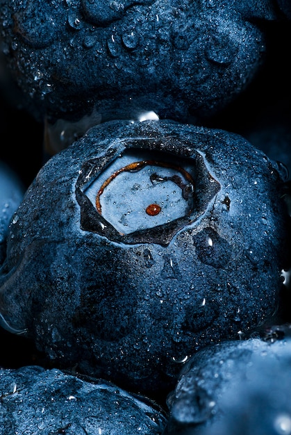 Mirtilos e orvalho cai fruta fundo macro foto