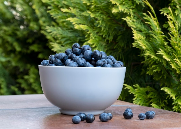 mirtilos em uma tigela azul em uma mesa no jardim