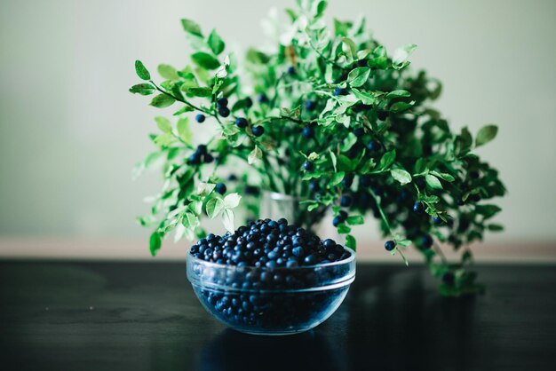 Mirtilos em uma tigela de vidro com galhos e folhas em um fundo escuro Comer saudável de frutas sazonais frescas