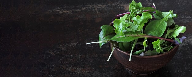 Mischen Sie Babysalate in einer Schüssel. Konzept von gesunden oder diätetischen Lebensmitteln. Superfoods Öko-Essen. Fitness Essen.