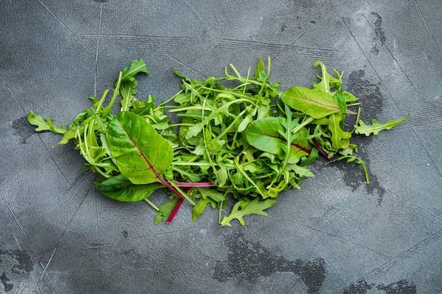 Mischen Sie Salatblätter, Mangold und Rucola-Set, auf grauem Steinhintergrund, Draufsicht flach gelegt