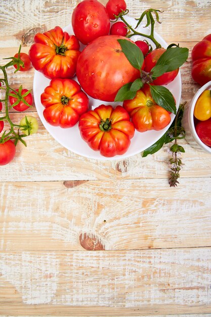 Mischung aus Tomaten Hintergrund. Schöne saftige organische rote Tomaten