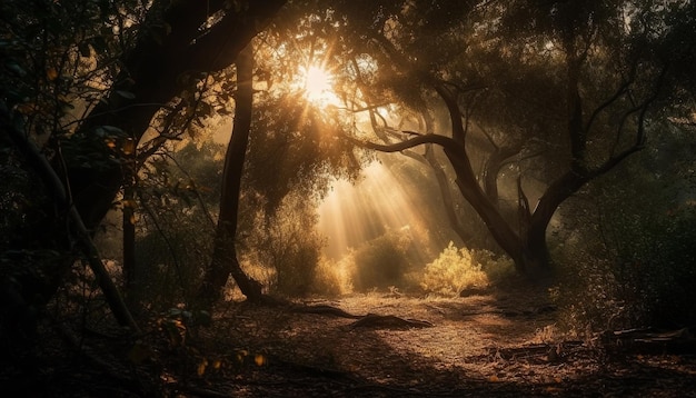 Misteriosa belleza brumosa del bosque otoñal en la naturaleza generada por IA