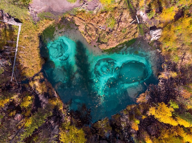 Misteriosa vista aérea en un pintoresco lago esmeralda de aguas profundas en forma de corazón, ubicado junto a un denso bosque lleno de varios árboles altos