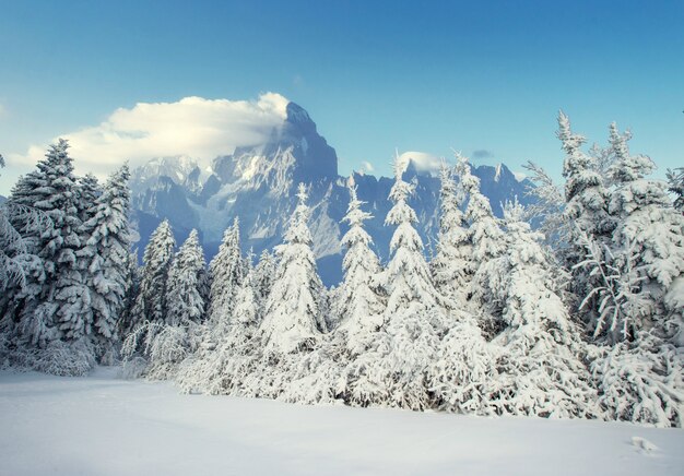 Misterioso paisaje invernal majestuosas montañas