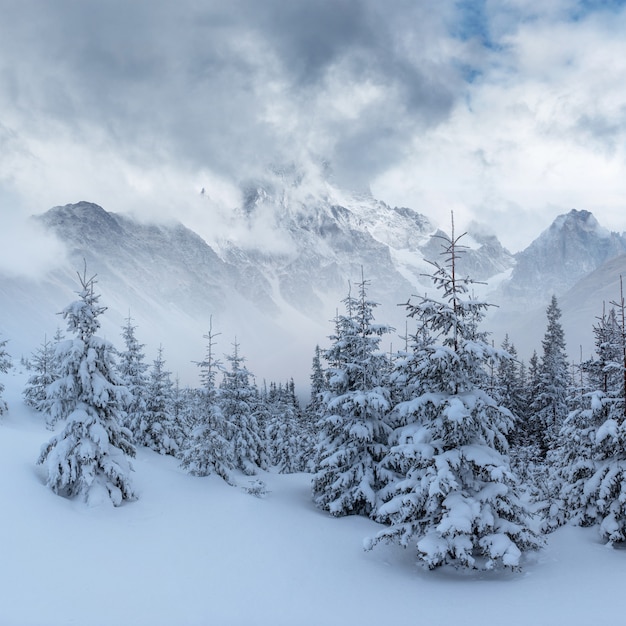 Misterioso paisaje invernal majestuosas montañas