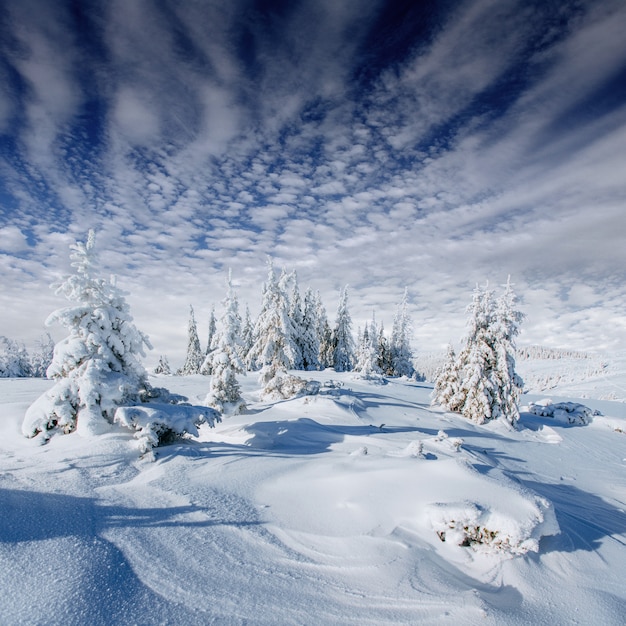 Misterioso paisaje invernal majestuosas montañas