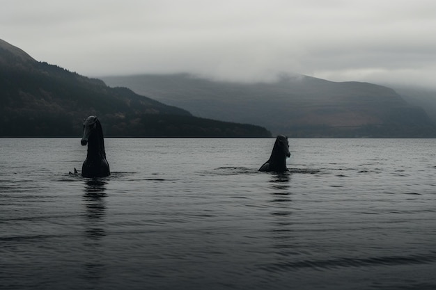 Foto misteriosos monstruos del lago ness emergiendo de las aguas oscuras