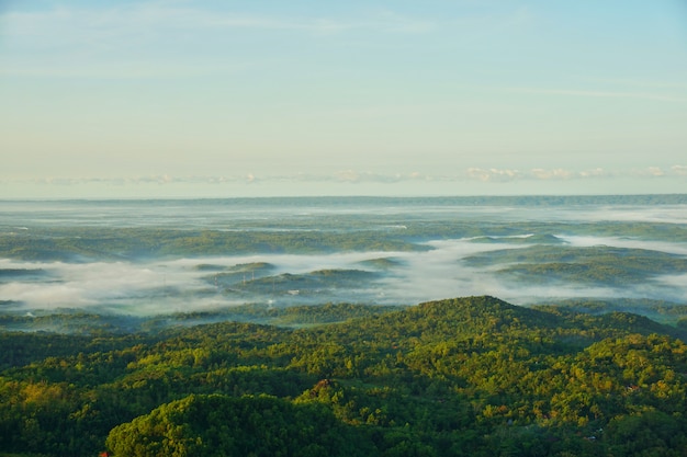 Mística de la mañana en el valle con niebla