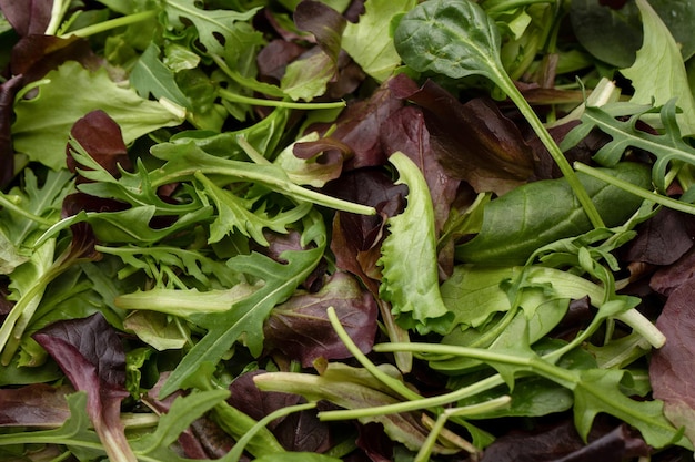 Mistura de salada fresca como pano de fundo