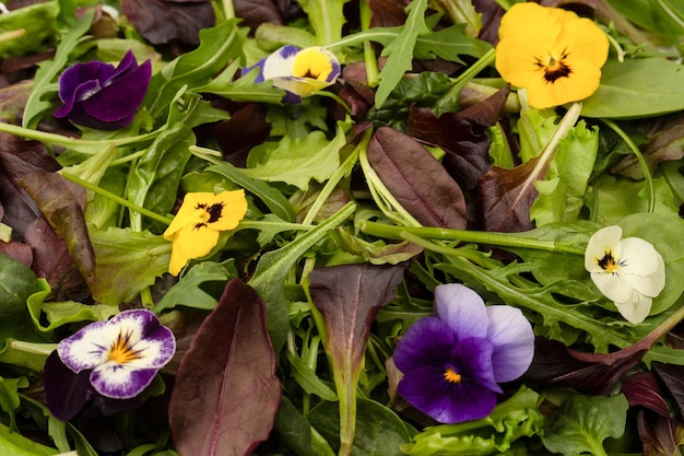 Mistura fresca de saladas com flores comestíveis Vista superior