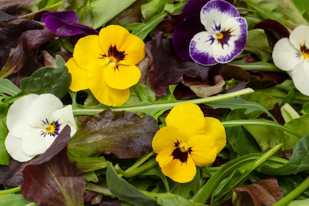 Foto mistura fresca de saladas com flores comestíveis vista superior