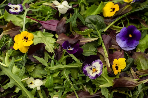 Mistura fresca de saladas com flores comestíveis Vista superior