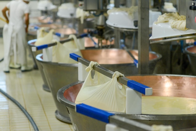 Misturando e aquecendo leite orgânico fazendo queijo parmesão em instalações de fabricação de queijos