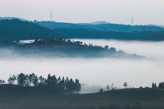 Misty Hills am Morgen